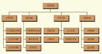 内部控制体系是什么意思