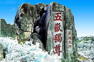 报名 10月 山东 环泰山国际户外徒步大会 用脚步丈量泰山的周长 