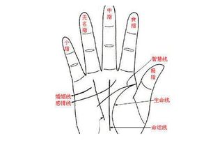 手相 教你看懂方形手掌,是什么样的性格