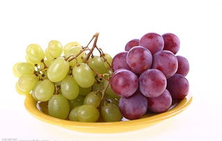 孕妇可以吃葡萄吗 适当吃葡萄好处多 