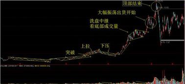 如何在收盘后选出第二天会涨停或者会拉大阳线的股票