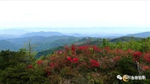 慈利 乡村游回暖 助推乡村振兴