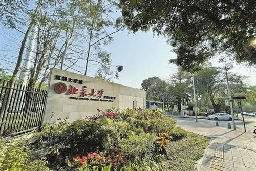 北京大学深圳研究院金融投资班推荐