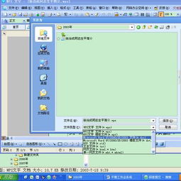 WPS Office OEM 版 怎么转换word格式 