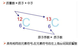 质谱名词术语集锦