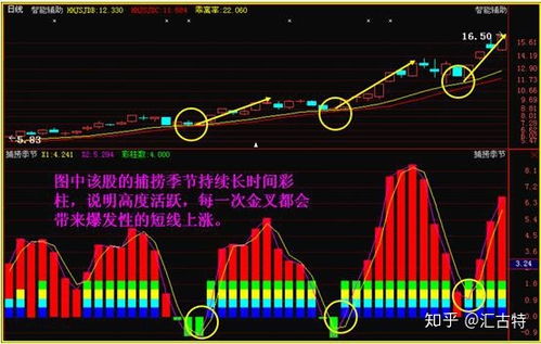 怎么用expma金叉之前能发现个股？