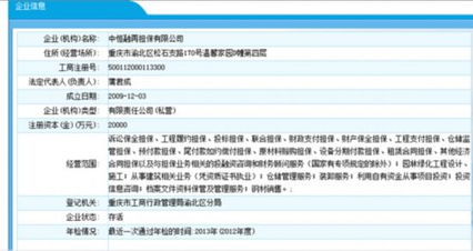 非融资性担保公司怎样放贷