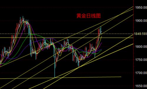 今天股指会下降多少点啊？预测一下