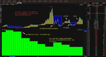 大盘暴跌是机会 6月散户操作谨记三点