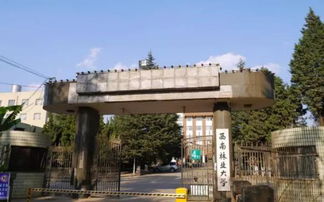 不建议报考西南林业大学(西南林业大学好嘛)