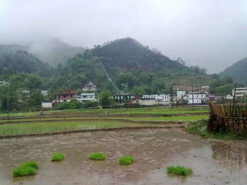 福建龙岩狮岩