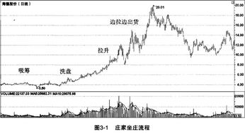 股票里的庄家指的是谁