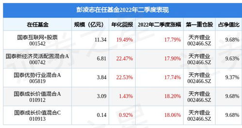 国泰成长优选