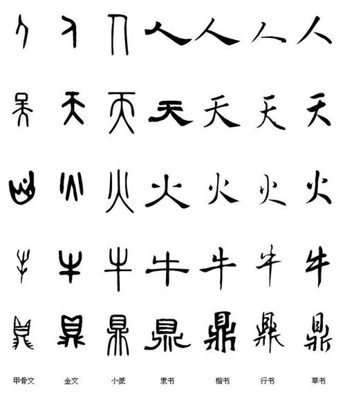 中国汉字演变所经历的七个阶段,前后经历了6000多年 