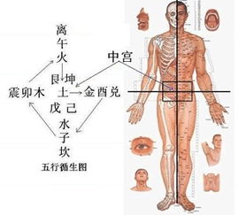 八字速断疾病经验大成总编