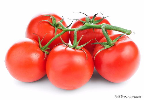 用西红柿减肥,让你不再饿着肚子减肥