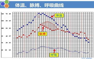 护理 体温单的记录 