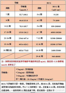 孕酮 HCG与保胎知识全解 