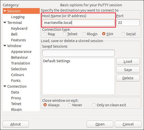 如何使用 PuTTY 远程打开 GUI 应用程序