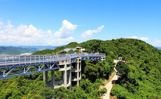 广东有什么小众却很值得一去的景点 (观音山两个停车场收费标准)