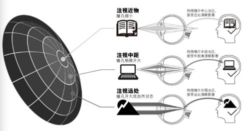 解决老花和视疲劳的新策略 博士伦多焦点软镜的设计原理及验配要点