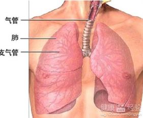 小儿支气管炎的症状，小儿支气管炎有什么症状