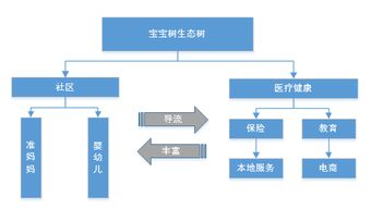 电商的细分方向有哪些，各有什么电商解决方案？