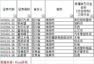 四川绵阳有多少个上市公司