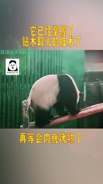 熊猫 奇怪了,怎么闻到了一股烧焦的味道啊 