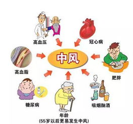 中风后最好吃什么？又最好不要吃什么？