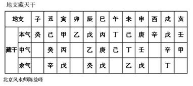 陈益峰 论支藏人元 