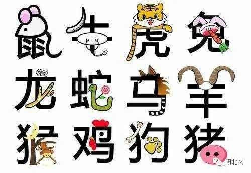 命理八字 生肖属相之秘