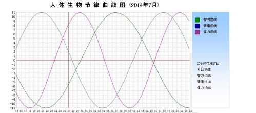 为什么人体节律与生男生女有关