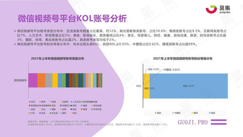 行业分析报告