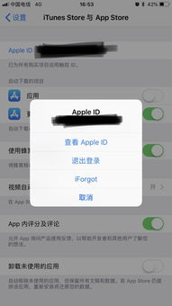 苹果AppStore显示全英文怎么办