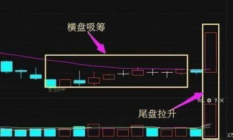 远望谷股票近日表现特差