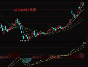 滨海能源未来走势如何？