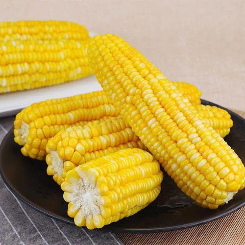 玉米的做法 玉米的12种做法