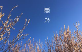 2018年春分适合结婚吗 2018年3月份适合结婚的日子有哪些