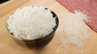 狗狗能吃米饭吗 对它的身体有什么好处 适当喂食但不能长期吃