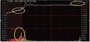 集合竟价开始的大笔高价买单在开盘时候为什么突然不见了，而且开盘时候成交量很小 低于此前那笔大买单？