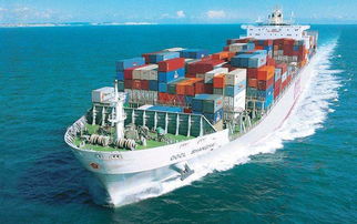 上海海运哪些货物不能办理集装箱运输