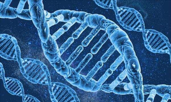 外星人创造了人类 那人类的DNA是怎么来的