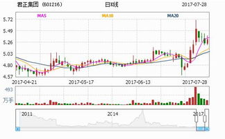 君正集团（601216）这只股票怎么样