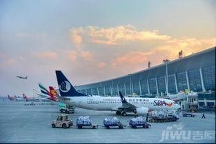 好消息 26日起,郑州机场港区开通夜班公交 