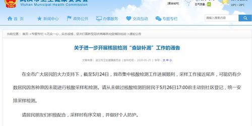 武汉核酸检测查缺补漏 漏检居民将统一登记安排检测