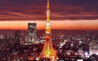 东京最高的建筑物,东京限高吗