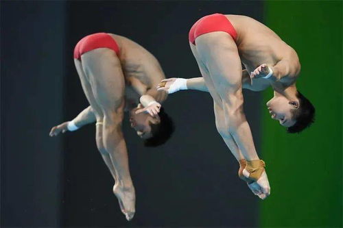 男子跳水运动员的尴尬时刻,男子跳水运动会