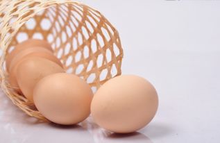 夏天鸡蛋能放多久 夏天鸡蛋怎么保存不会坏