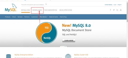 mysql数据库工具支持回滚吗